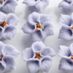 Steamed Crystal Dumplings with a Purple Cabbage Skin