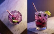Black Grape Lemon Sparkler A Refreshing Twist on Summer Beverages