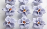 Crystal Clear and Incredibly Delicious: The Magic of Steamed Crystal Dumplings with a Purple Cabbage Skin