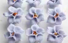 Crystal Clear and Incredibly Delicious: The Magic of Steamed Crystal Dumplings with a Purple Cabbage Skin